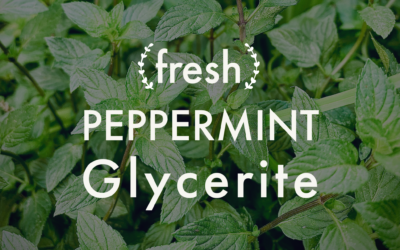 Fresh Peppermint Glycerite: Another Herbal Infusion